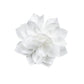 Gala Garden - White - Paparazzi Hair Accessories Image