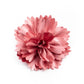 Picnic Posh - Pink - Paparazzi Hair Accessories Image