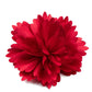 Picnic Posh - Red - Paparazzi Hair Accessories Image