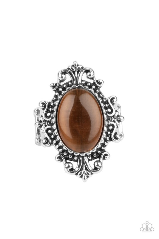 Can You SEER What I SEER - Brown - Paparazzi Ring Image