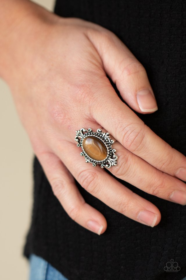 Can You SEER What I SEER - Brown - Paparazzi Ring Image