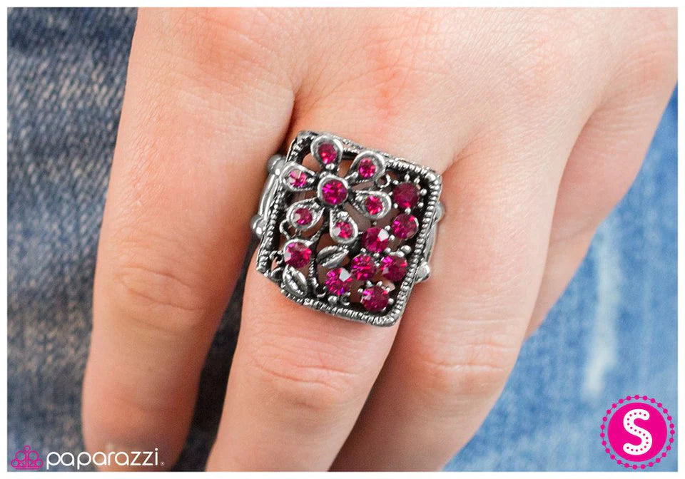 Anillo de paparazzi ~ Fiebre rosa - Rosa