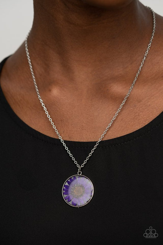 ​Prairie Promenade - Purple - Paparazzi Necklace Image