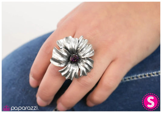 Paparazzi Ring ~ Take Your Pick - Purple