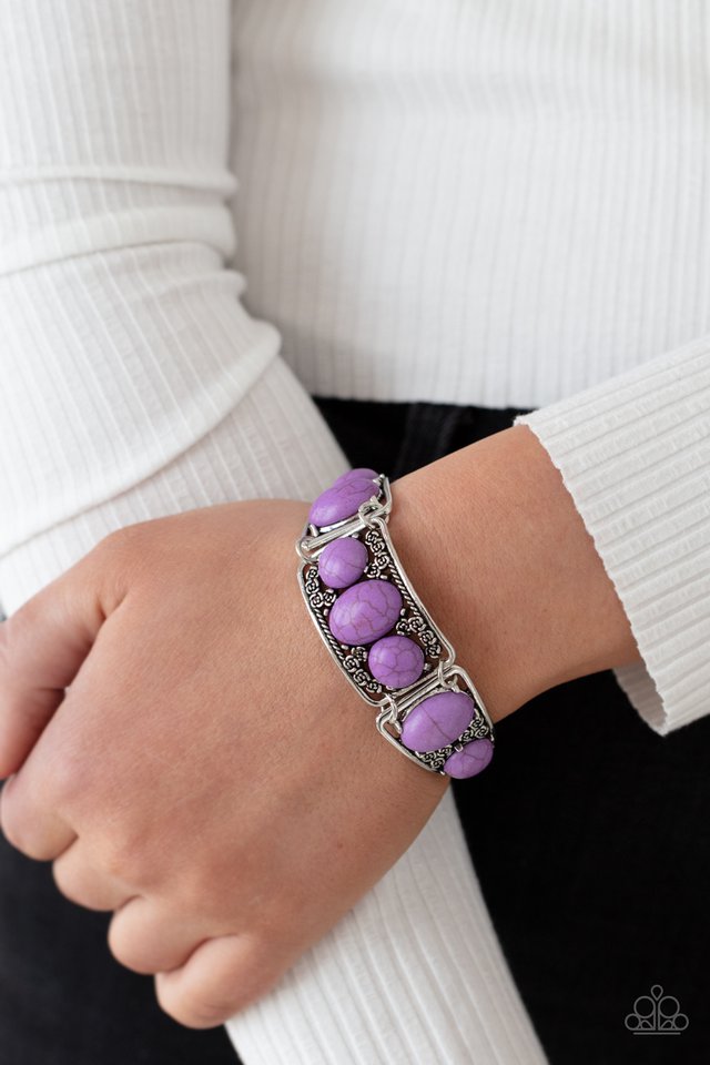 Southern Splendor - Purple - Paparazzi Bracelet Image