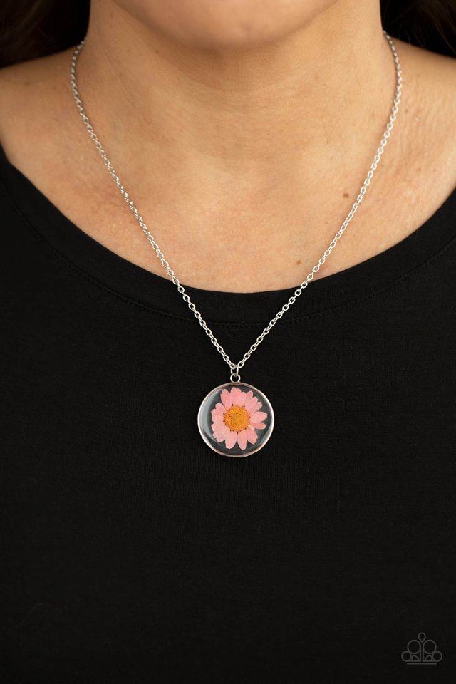 Prairie Promenade - Pink - Paparazzi Necklace Image