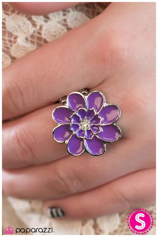 Paparazzi Ring ~ Spring Fling - Purple