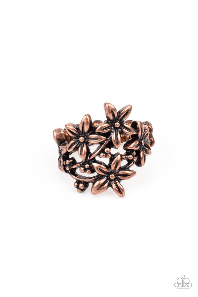 Prairie Primrose - Copper - Paparazzi Ring Image