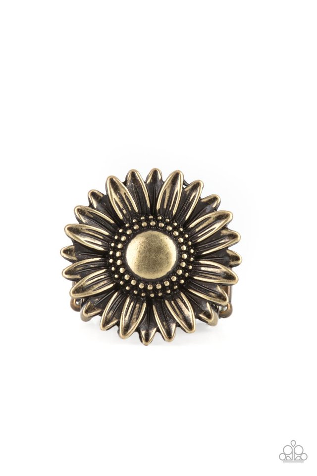 ​Farmstead Fashion - Brass - Paparazzi Ring Image