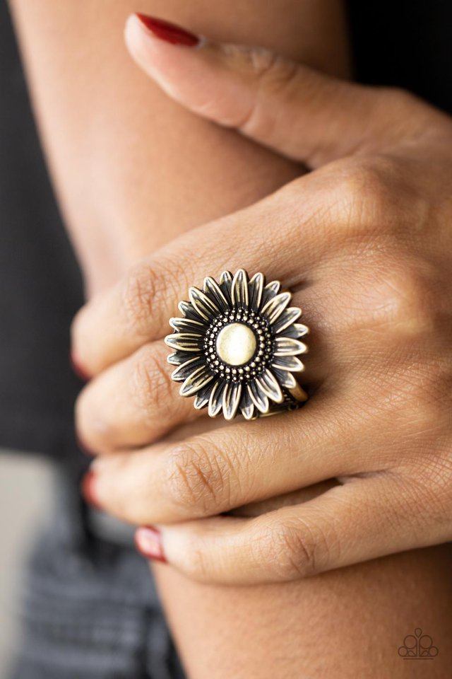 ​Farmstead Fashion - Brass - Paparazzi Ring Image