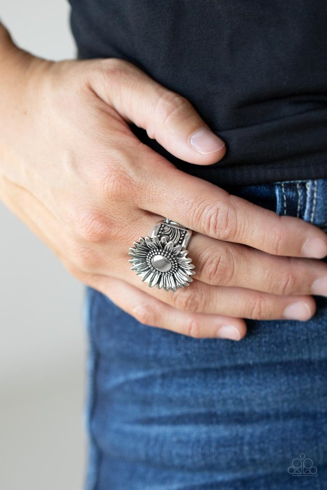 Farmstead Fashion - Silver - Paparazzi Ring Image