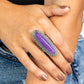 Eco Equinox - Purple - Paparazzi Ring Image