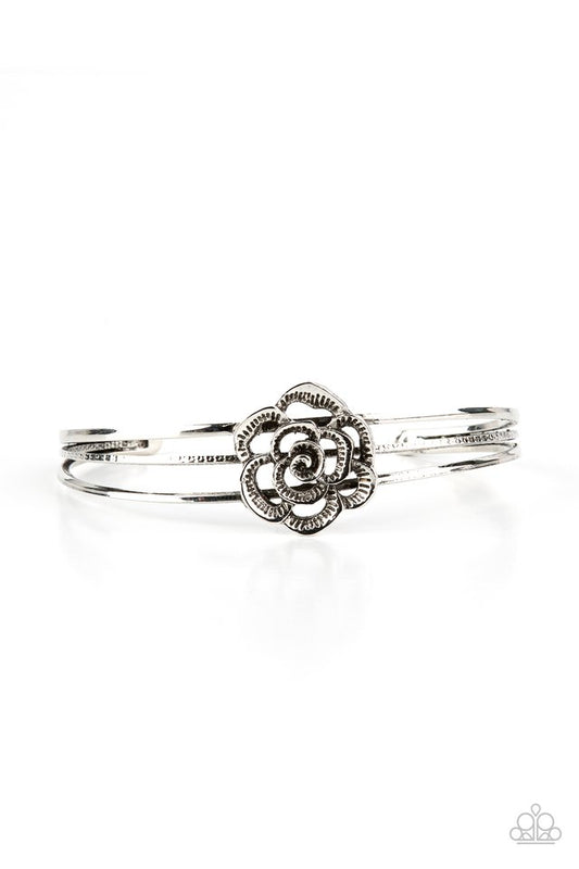 Rosy Repose - Silver - Paparazzi Bracelet Image