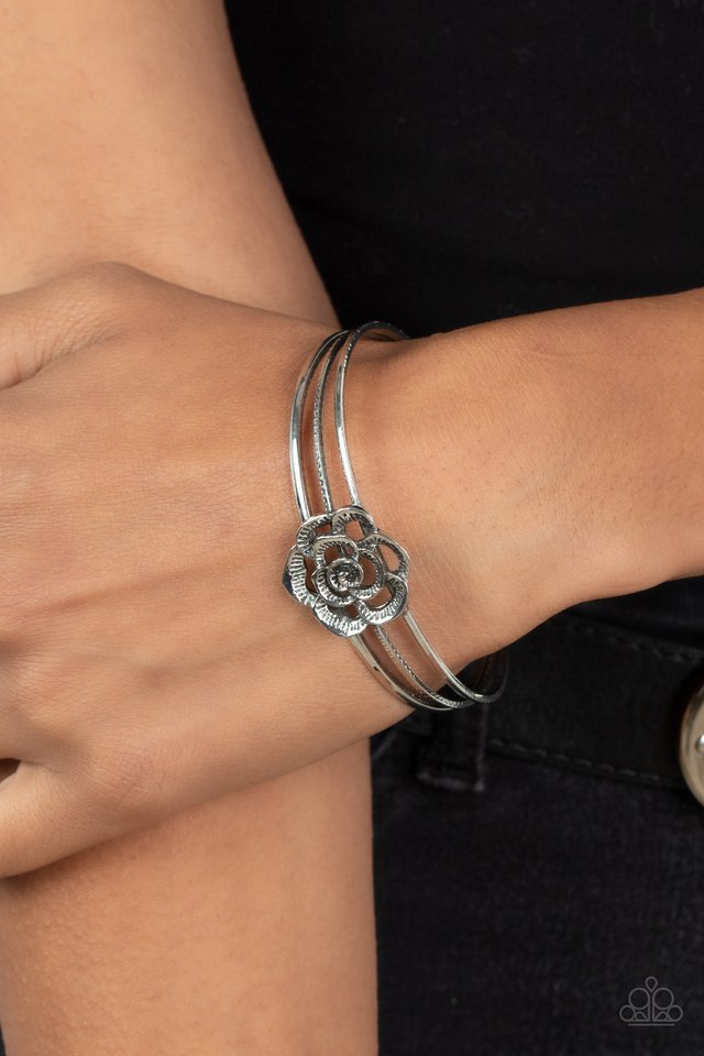 Rosy Repose - Silver - Paparazzi Bracelet Image