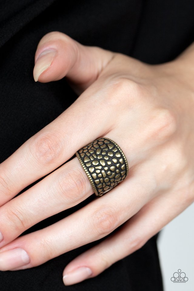 Dotted Decorum - Brass - Paparazzi Ring Image