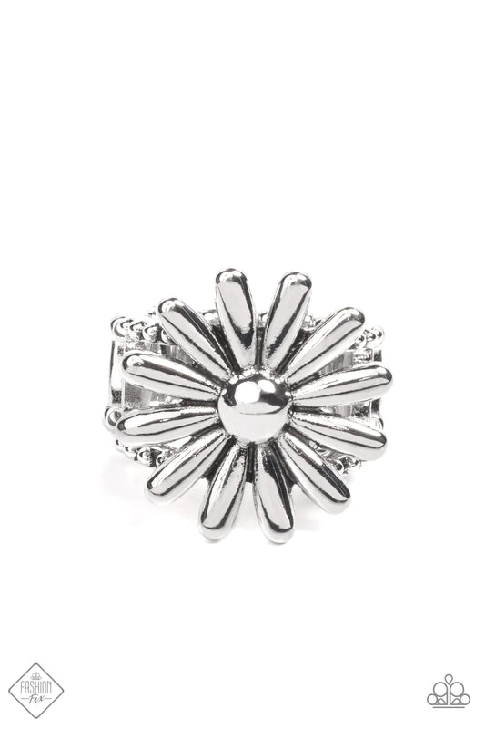 Paparazzi Ring ~ GROWING Steady - Silver