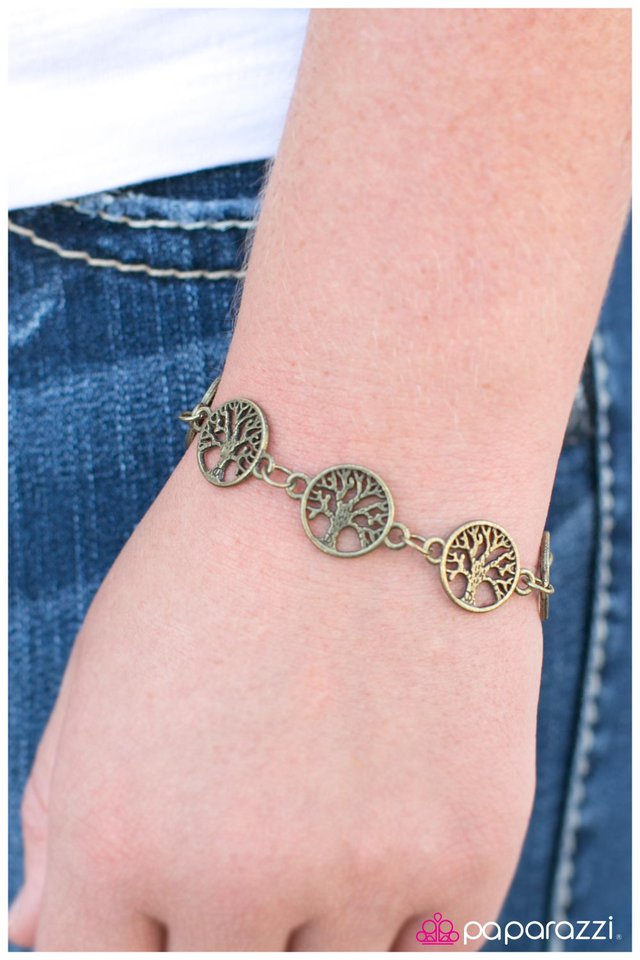 Paparazzi Bracelet ~ Arbor Day - Brass