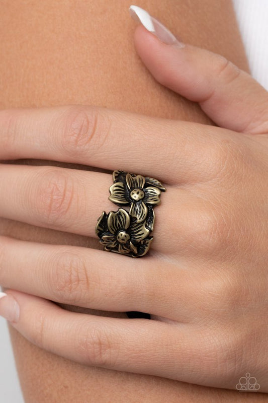 ​Island Eden - Brass - Paparazzi Ring Image