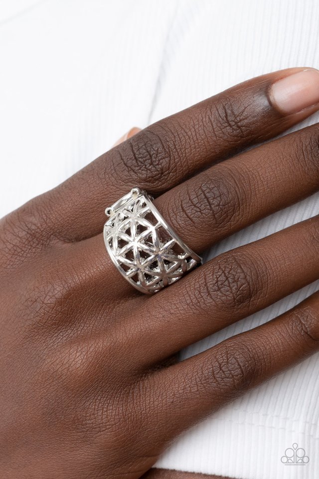 Gardenia Gazebo - Silver - Paparazzi Ring Image