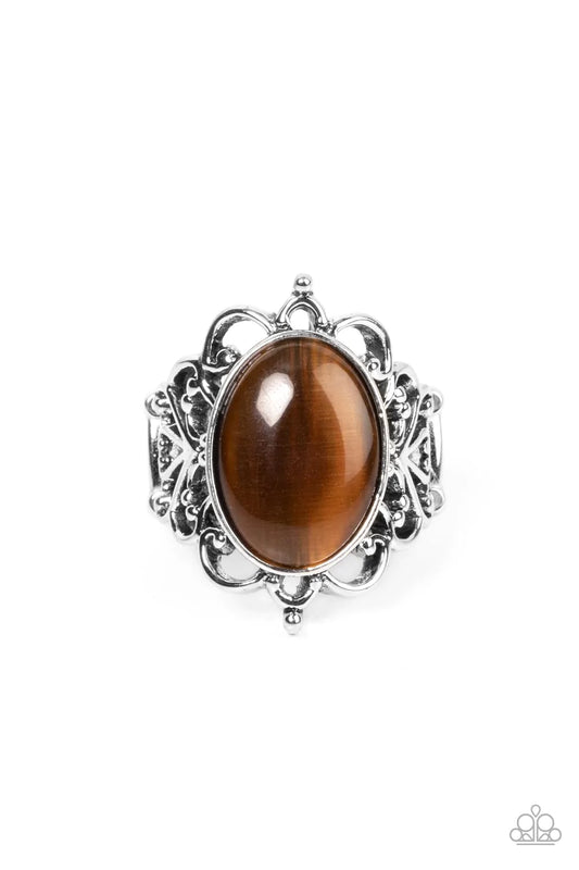 Paparazzi Ring ~ Radiantly Reminiscent - Brown