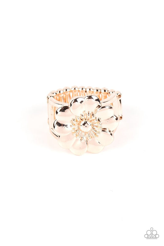 Floral Farmstead - Gold - Paparazzi Ring Image