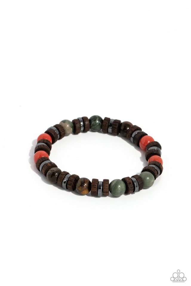 Earthy Empath - Multi - Paparazzi Bracelet Image