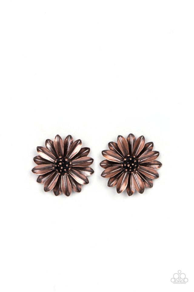 Daisy Dilemma - Copper - Paparazzi Earring Image