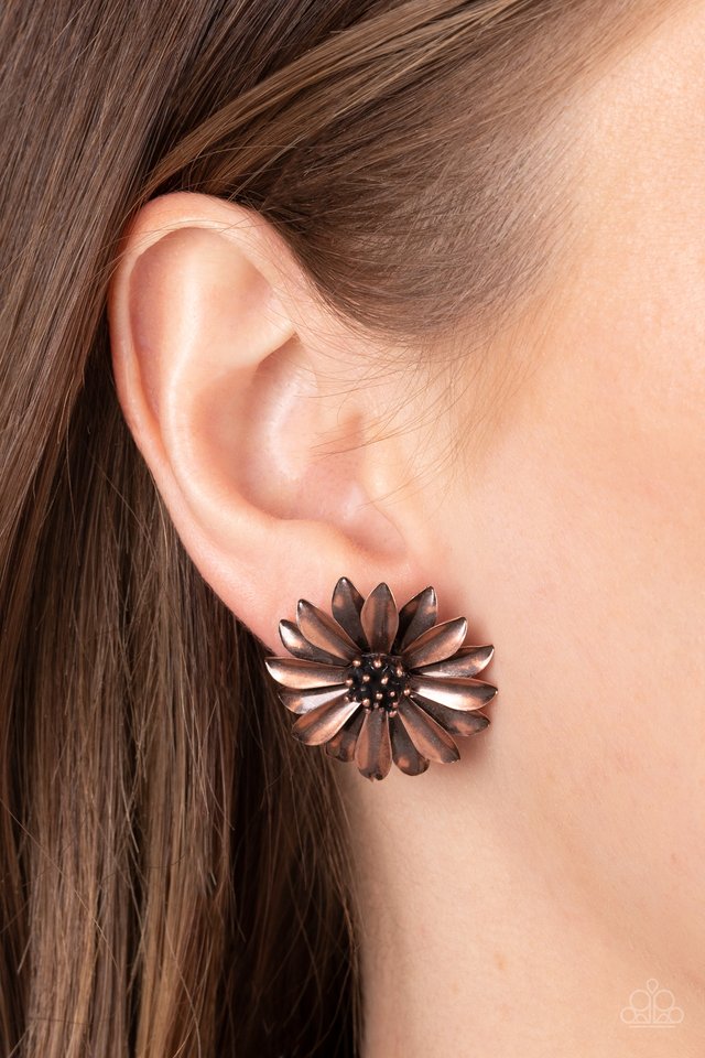Daisy Dilemma - Copper - Paparazzi Earring Image