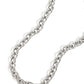 Things Have CHAIN-ged - Silver - Paparazzi Necklace Image