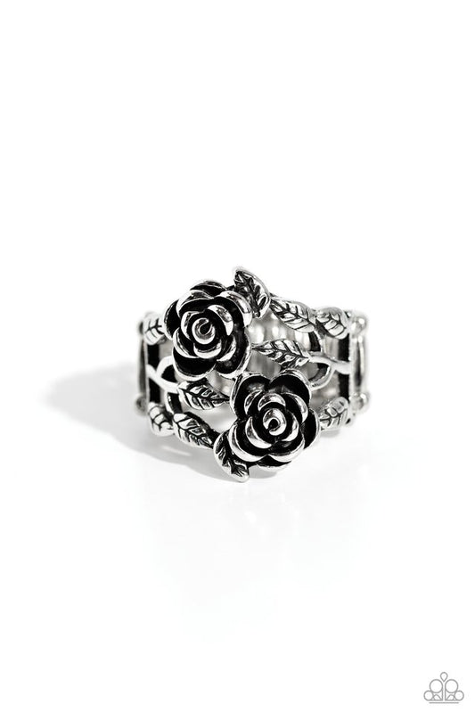 Anything ROSE - Silver - Paparazzi Ring Image