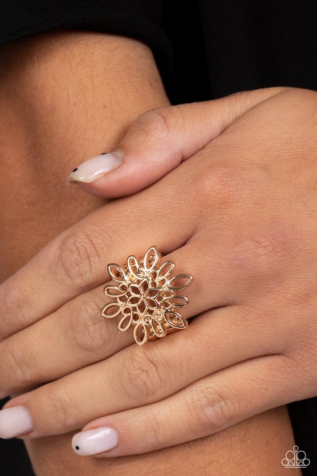 Coastal Chic - Gold - Paparazzi Ring Image