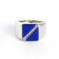 Diagonally Dominant - Blue - Paparazzi Ring Image