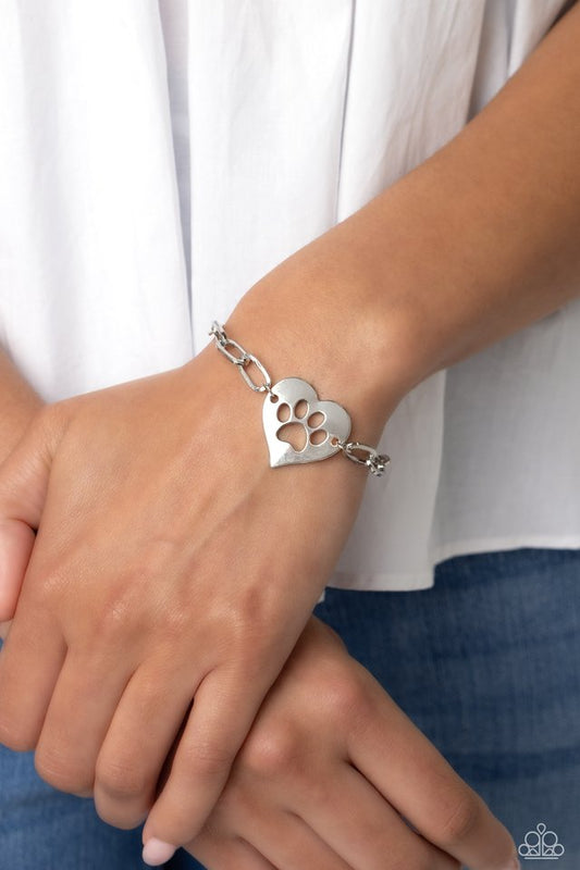 PAW-sitively Perfect - Silver - Paparazzi Bracelet Image