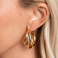 HOOP of the Day - Gold - Paparazzi Earring Image