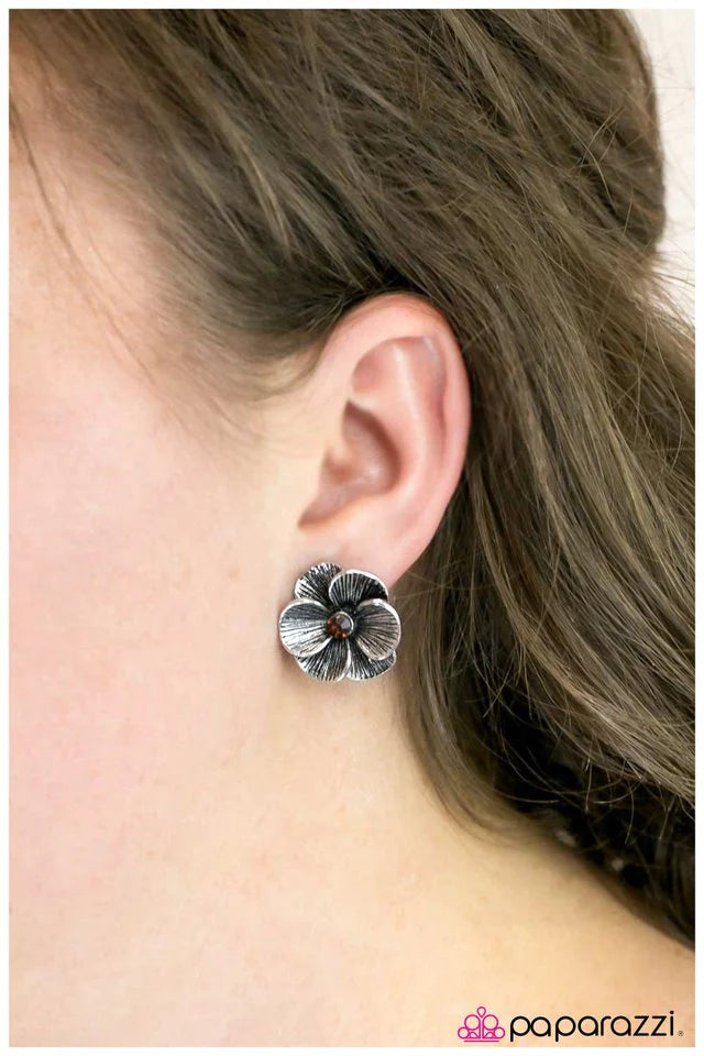 Paparazzi Earring ~ Ella Enchanted - Brown