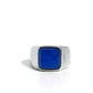 Earthy Envy - Blue - Paparazzi Ring Image