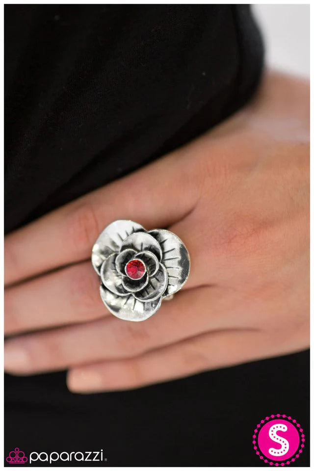 Paparazzi Ring ~ She Walks In Beauty - Red