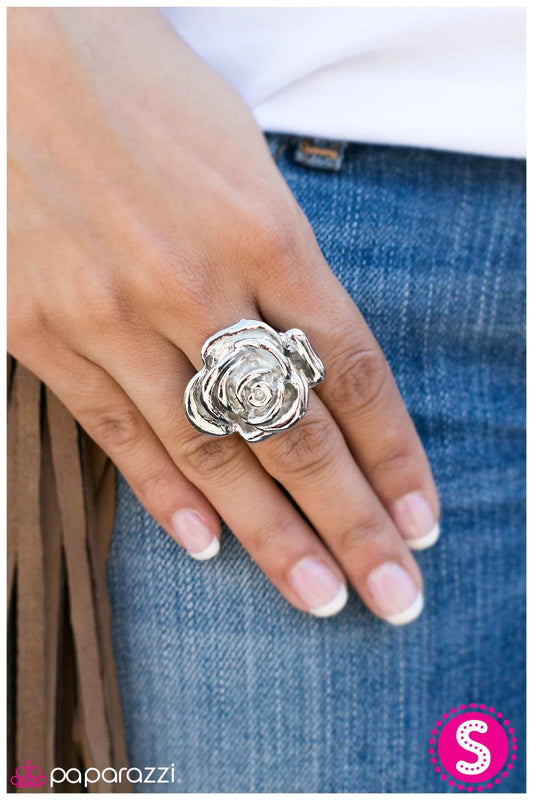 Anillo Paparazzi ~ Amazing Grace - Plata