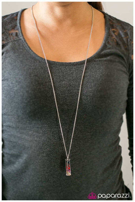 Paparazzi Necklace ~ Awestruck - Multi