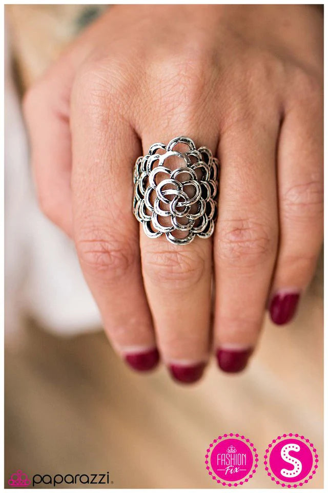 Paparazzi Ring ~ In Harmony - Silver