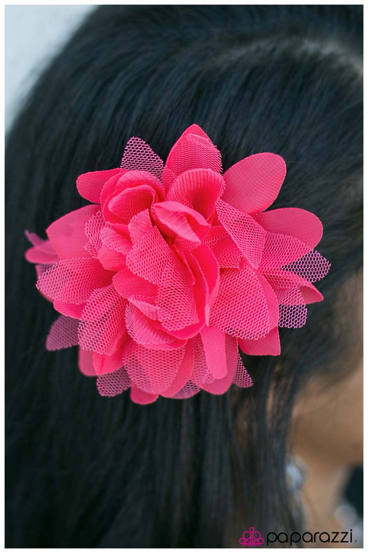 Accesorios para el cabello de Paparazzi ~ Todo lo que tengo que hacer es soñar - Rosa