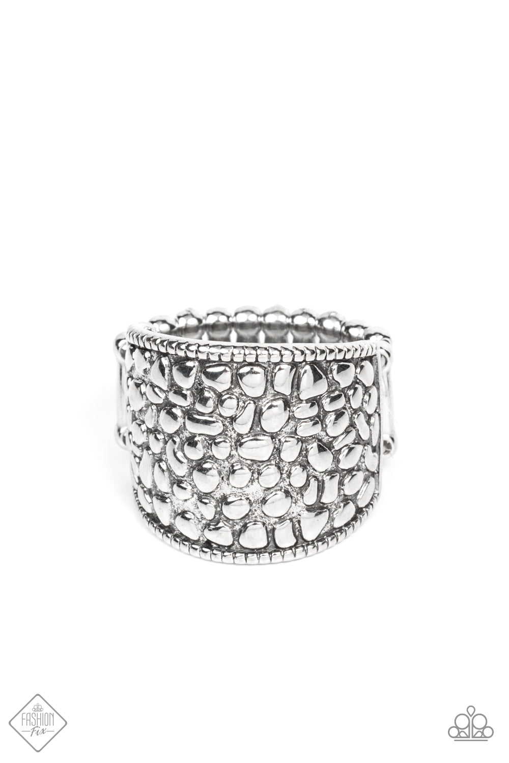 Paparazzi Ring Fashion Fix 21 ~ Dotted Decorum - Silver