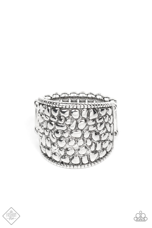 Anillo Paparazzi Fashion Fix 21 ~ Decoro con puntos - Plata