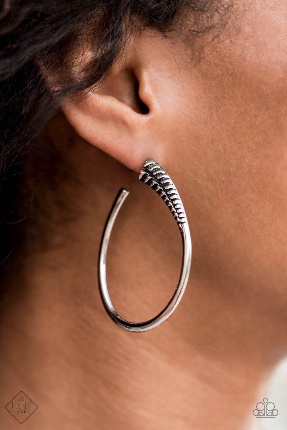 Paparazzi Earring Fashion Fix April 2021 ~ Fully Loaded - Silver